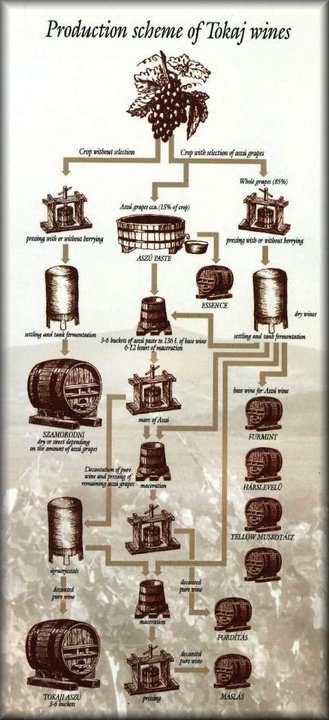 Schéma produkcie tokajského vína